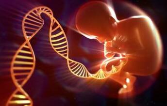 专家肖像